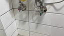 能率（NORITZ）燃氣熱水器10升/11升 智能極速恒溫強排式 低壓啟動 A3小尺寸超薄輕巧易安裝 適老款天然氣熱水器 11L 11A3FEX（恒溫） 天然氣 曬單實拍圖