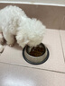比樂(lè )狗糧原味鮮泰迪博美比熊小型犬通用幼犬成犬寵物食品低敏無(wú)谷零食 小型幼犬糧_1.5kg裝 曬單實(shí)拍圖