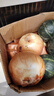 新鮮黃洋蔥黃金水果洋蔥即食蔬菜調(diào)料燒烤食材 新鮮黃洋蔥 4斤 含箱 曬單實(shí)拍圖
