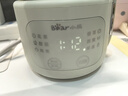 小熊（Bear）迷你養生壺養生杯 電燉杯電熱杯煮花茶壺燒水壺辦公室杯子0.4L全玻璃杯體YSH-F04E1 曬單實(shí)拍圖