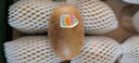 佳沛（zespri）新西蘭 陽光金奇異果12粒禮盒特大果單果約122-146g 獼猴桃 水果 曬單實拍圖