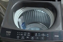 海爾（Haier）波輪洗衣機全自動(dòng)家用12公斤大容量XQB120-BZ20D1 京東自營(yíng)直驅變頻一級能效家電國家補貼以舊換新 曬單實(shí)拍圖