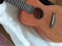 DOPHN多斐恩AR600實(shí)木全單初學(xué)者兒童男女學(xué)生進(jìn)階尤克里里小吉他 23英寸-原木色 曬單實(shí)拍圖