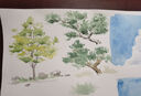 輝柏嘉（Faber-castell）固體水彩24色 固體顏料 便攜式水彩套裝 美術(shù)課必備升級(jí)版 576024美術(shù)寫生 曬單實(shí)拍圖