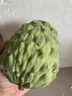 壹萌果蔬釋迦果新鮮鳳梨釋迦果番荔枝大目林擒佛頭廣西熱帶水果中秋送禮 凈2.5-3斤精選果【單果150g+】 曬單實(shí)拍圖