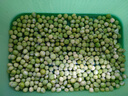 北蔬 豌豆尖種子種苗秋四季芽苗菜蔬菜種籽 北蔬鮮嫩豌豆尖種子200g 曬單實(shí)拍圖