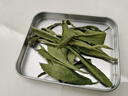 特級品質(zhì)甜葉菊茶甜菊葉鐵盒裝代糖養(yǎng)生花草茶沖泡水喝女士茶葉 甜葉菊25g（鐵盒裝） 甜葉菊 曬單實拍圖
