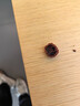 藏式機刷玉化金剛菩提天然菩提籽牛角三通佛珠手串男士國風(fēng)手鏈 牛角三通+葫蘆約15~20mm(5瓣) 曬單實(shí)拍圖
