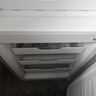 上菱183升雙開門冰箱小型出租房2-3人用 出租屋家用兩門二門小戶型雙門電冰箱以舊換新BCD-183D 曬單實拍圖