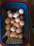 無抗鮮雞蛋 谷物喂養(yǎng)鮮雞蛋 單枚50g-60g 早餐食材 蛋香味十足 30枚裝 曬單實(shí)拍圖