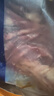羋羊羊 西北黃牛肉 生鮮牛腱子金錢(qián)腱凈重3斤 腱子芯 低脂健身 源頭直發(fā) 曬單實(shí)拍圖