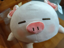 名創(chuàng)優(yōu)品（MINISO）小豬B-BO彈力超柔趴姿毛絨公仔玩偶抱枕玩具女友生日七夕禮物女 曬單實(shí)拍圖