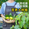 愛(ài)酷熊（AIKUUBEAR）暢吸拉拉褲XXXL80全包臀嬰兒男女通用超薄透氣尿不濕（16-18kg） 曬單實(shí)拍圖