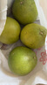 京鮮生 泰國青柚 蜜柚 巨大果4粒禮盒 單果1kg+ 中秋水果禮盒 源頭直發(fā) 曬單實(shí)拍圖