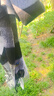 啄木鳥(niǎo)（TUCANO）100%純羊毛圍巾男冬季高檔加厚保暖男圍巾百搭圍脖送男友生日禮物 曬單實(shí)拍圖
