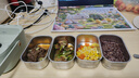 小熊（Bear）電熱飯盒 加熱飯盒 保溫飯盒可加熱 雙層四膽辦公室蒸煮熱飯神器可預(yù)約上班族加熱便當(dāng)盒DFH-G16W7 曬單實拍圖