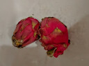 廣西紅心火龍果金都一號應(yīng)季紅肉超甜皮薄蜜寶新鮮孕婦健康水果 1粒裝 單果200g+ 曬單實(shí)拍圖