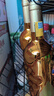 龍船金爵仕皇家獅王干紅葡萄酒14度干紅禮盒裝送禮 750ml*2瓶 曬單實(shí)拍圖