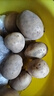 新鮮土豆現(xiàn)挖現(xiàn)發(fā)山東正宗黃心黃肉當(dāng)季蔬菜馬鈴薯洋芋薯條3兩起 山東土豆帶箱2斤 中大果 曬單實拍圖