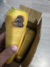新鮮金黃胡蘿卜  手抓飯伴侶 黃胡蘿卜 含箱3斤 曬單實(shí)拍圖