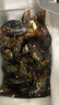 當天現撈新鮮無(wú)沙大海虹舟山貽貝青口貝當季鮮活淡菜冷鏈包郵 當天海捕青口貝【不鮮包退】 1斤(凈重)  拍三囎二 實(shí)發(fā)五斤 （僅限一天） 曬單實(shí)拍圖
