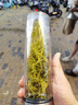 天喜（TIANXI）玻璃杯雙層加厚水杯男女帶茶隔泡茶杯大容量本色350ml七夕禮物 曬單實(shí)拍圖