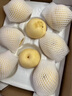 京鮮生 長城河北老樹皇冠梨 凈重5斤 單果250g+ 生鮮水果禮盒 曬單實拍圖