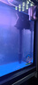 森森（SUNSUN）魚(yú)缸燈變色LED燈潛水照明水族箱造景燈龍魚(yú)防水燈管 98cm雙排燈紅色20W（帶獨(dú)立開(kāi)關(guān)） 曬單實(shí)拍圖