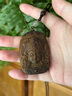 等妃天然越南芽莊黃奇楠吊墜沉水沉香觀音菩薩項(xiàng)鏈掛件真品掛墜文玩 99分沉水40*13*59mm總重22g 曬單實(shí)拍圖