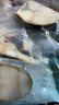 鮮京采 冷凍阿拉斯加黑鱈魚(yú)排400g 獨立真空裝MSC認證裸蓋魚(yú)類(lèi)海鮮水產(chǎn) 曬單實(shí)拍圖