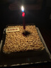 廿一客（21cake）松仁淡奶（木糖醇款）堅(jiān)果乳脂奶油生日蛋糕1磅  同城配送 曬單實(shí)拍圖