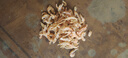 小海故事 磷蝦米 去頭磷蝦米凈含量250g/袋磷蝦干 源頭直發(fā)兒童營(yíng)養(yǎng)餐早餐 曬單實(shí)拍圖