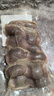 桂花鴨江蘇南京 桂花農場(chǎng)鴨肫鴨胗320g金陵特產(chǎn)老字號鹵味熟食 源頭直發(fā) 曬單實(shí)拍圖
