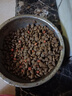 麥富迪貓糧 超肉粒凍干雙拼成貓糧美毛護腸三文魚(yú)10kg/20斤【寵物金選】 曬單實(shí)拍圖