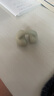 蛇圣隕石C2真無(wú)線(xiàn)藍牙耳機開(kāi)放式夾耳耳夾式骨傳導概念升級氣傳導不入耳運動(dòng)跑步降噪適用于蘋(píng)果華為 曬單實(shí)拍圖