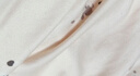 米度麗 孕婦待產(chǎn)睡裙夏季短袖睡衣開(kāi)扣帶胸墊月子服喂奶連衣裙 淡黃 XL 曬單實(shí)拍圖