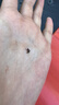愛貝迪拉腰凳嬰兒背帶輕便四季二合一小月齡寶寶前抱式外出抱娃神器旋鈕款 曬單實(shí)拍圖
