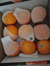 新奇士（Sunkist）澳大利亞藍(lán)標(biāo)早臍橙橙子大果4斤禮盒裝 單果220g+ 新鮮水果禮盒 曬單實(shí)拍圖