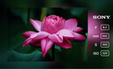 索尼（SONY）E 70-350mm F4.5-6.3 G OSS APS-C畫(huà)幅超遠(yuǎn)攝變焦G鏡頭 SEL70350G 曬單實(shí)拍圖