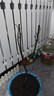 倒掛金鐘盆栽四季開(kāi)花耐寒耐熱南北方種植盆栽樹(shù)苗陽(yáng)臺花卉 H6倒掛金鐘盆栽花卉 7年老樁/開(kāi)花大量 曬單實(shí)拍圖