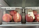 佳幫手冰箱專用收納盒食品級蔬菜雞蛋密封保鮮盒廚房冷凍儲物盒收納神器 曬單實(shí)拍圖