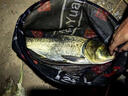 漁之源2025新款硬殼魚(yú)竿包釣魚(yú)包多功能漁具收納包手竿魚(yú)桿傘包一體 【便攜加硬】130*10cm絲光白 主圖款 曬單實(shí)拍圖