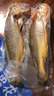 1號會員店寧德三去黃花魚 凈重2斤/4條  大黃魚 深海魚 冷凍海鮮水產(chǎn) 生鮮 曬單實拍圖