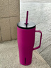 CORKCICLE.巨無霸吸管保溫杯大容量手柄保冷杯子車載冰霸杯火龍果色890ml 曬單實拍圖