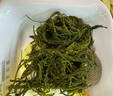 鞭炮筍海筍長(cháng)壽菜涼拌菜海草藻菜火鍋食材鞭泡筍鹽漬馬尾藻羊棲菜 鹽漬鞭炮筍1斤 曬單實(shí)拍圖