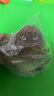 解壓大猩猩玩具抖音網(wǎng)紅王總捏捏樂創(chuàng)意發(fā)泄減壓神器搞怪出氣猴子 6.5cm袋裝（顏色隨機發(fā)貨）*1 曬單實拍圖