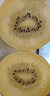 佳沛（zespri）新西蘭  陽(yáng)光金奇異果16粒禮盒經(jīng)典果單果約 77-103g 水果 獼猴桃 曬單實(shí)拍圖
