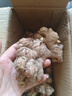京鮮生 云南小黃姜 凈重3斤 生姜 老姜 新鮮蔬菜調(diào)味 源頭直發(fā)包郵  曬單實拍圖