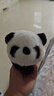 梓嘉?？ㄆぐ屠九救ε颗咳Ρ滞竺q玩具熊貓拍拍圈玩偶 25CM抱抱熊貓啪啪圈 曬單實(shí)拍圖