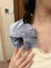 唐芙妮高級(jí)感流光鍛面褶皺珍珠大腸發(fā)圈女2025新款高級(jí)感大號(hào)扎馬尾發(fā)繩 藍(lán)色流光褶皺珍珠發(fā)圈 曬單實(shí)拍圖